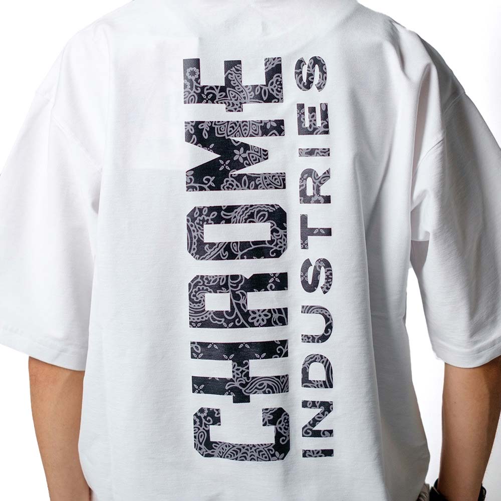 クローム ライムストーン ケーブ ティー ワイドフィット GWG CHROME LSC TEE WIDE FIT GWG WHITE メンズ Tシャツ 鍾乳洞Tシャツ JP264WH