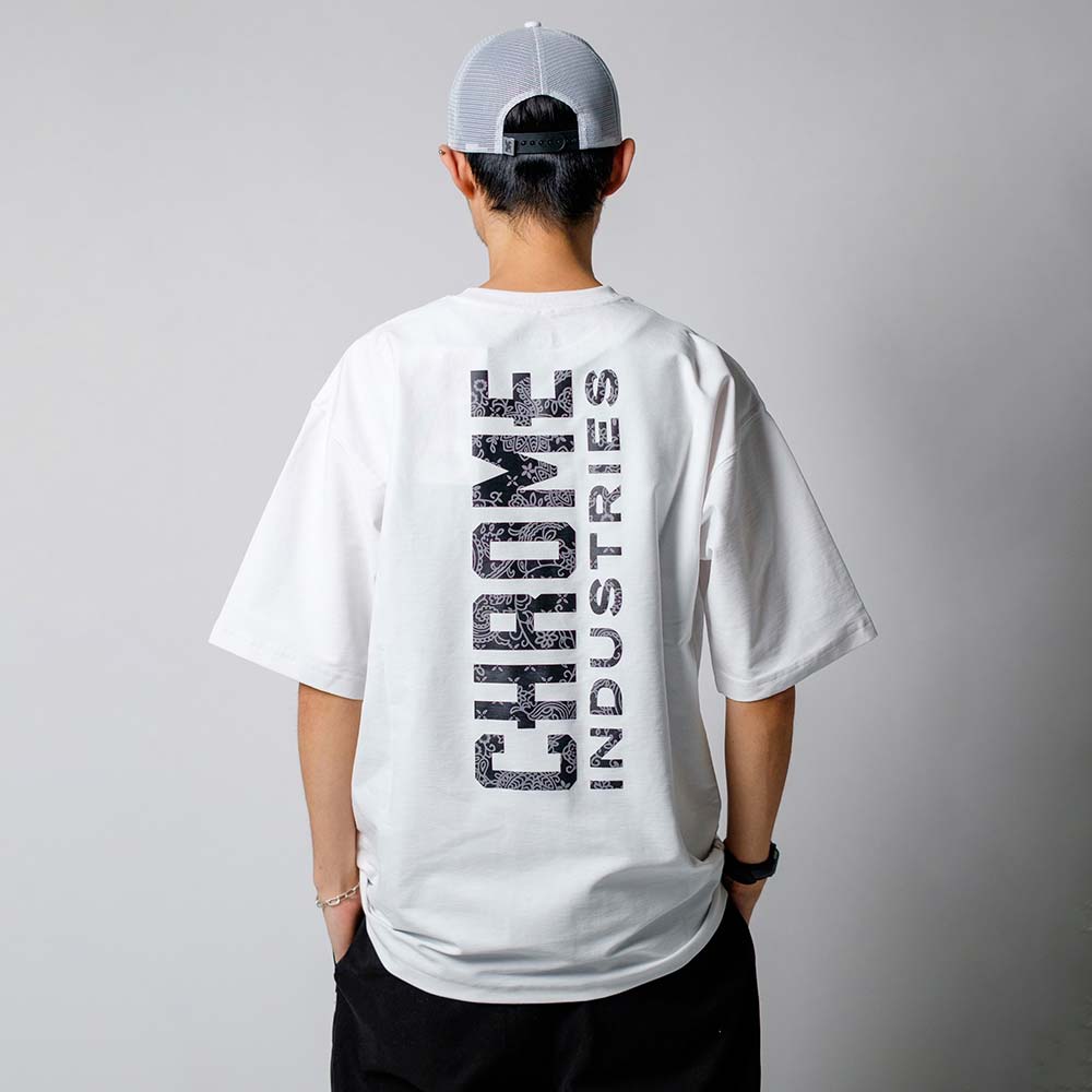 クローム ライムストーン ケーブ ティー ワイドフィット GWG CHROME LSC TEE WIDE FIT GWG WHITE メンズ Tシャツ 鍾乳洞Tシャツ JP264WH