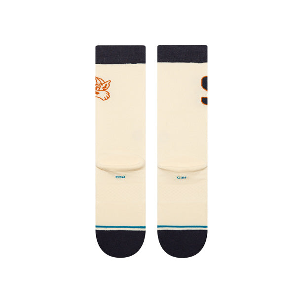 スタンス STANCE COYOTE VARSITY CREW CANVAS メンズ レディース ソックス A545C25COY-CVS
